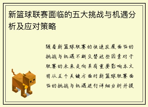 新篮球联赛面临的五大挑战与机遇分析及应对策略